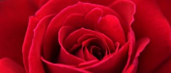 Red Journal Aesthetics