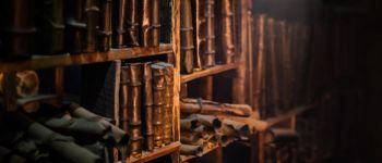 Mysterious old tomes and scrolls in dark academia